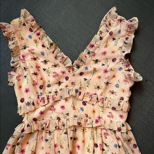 Betsy Johnson Lady Bug Dragonfly and Flower Dress 2